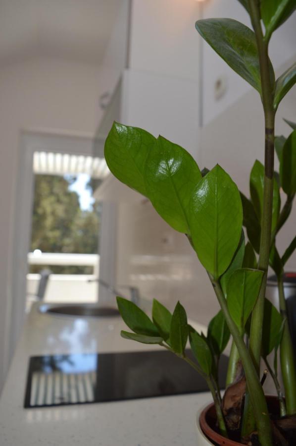 חוואר Villa Kristonia מראה חיצוני תמונה